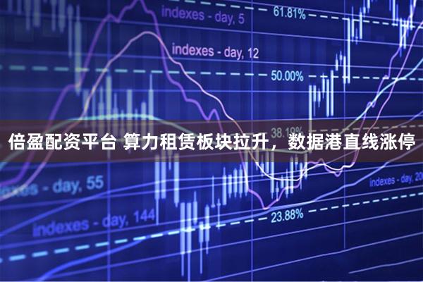 倍盈配资平台 算力租赁板块拉升，数据港直线涨停