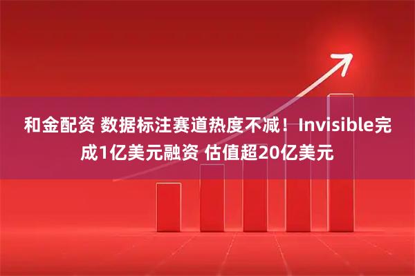 和金配资 数据标注赛道热度不减！Invisible完成1亿美元融资 估值超20亿美元